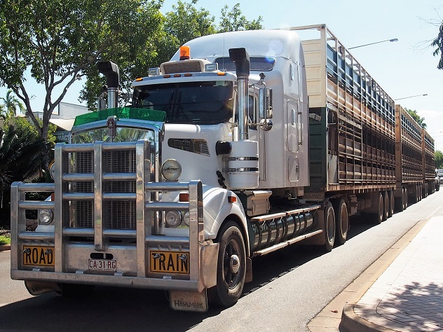 ROAD TRAIN