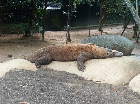 ZOO ET RIVER AVENTURE    